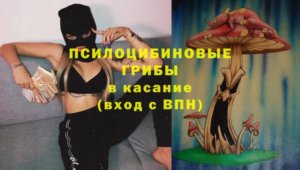 СК Медногорск